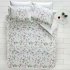 Tivolyo Home Celine